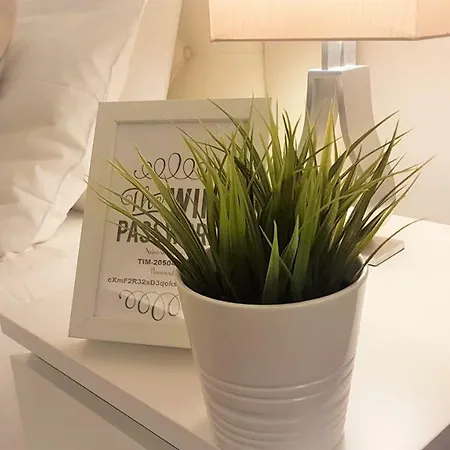 Campani Luxury Flat *